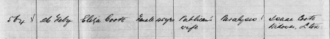 1868 death record from Linc Tasmania